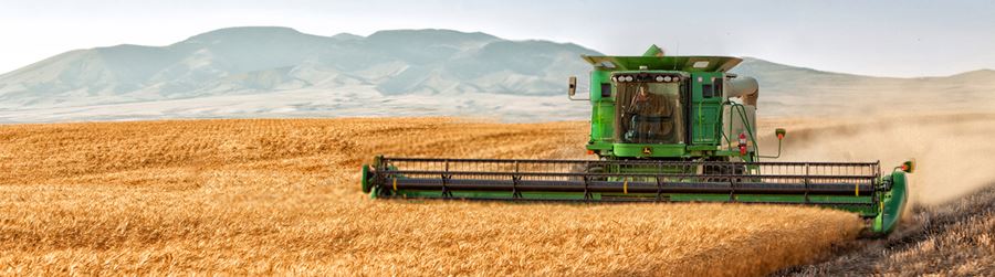 combine driving through wheat field